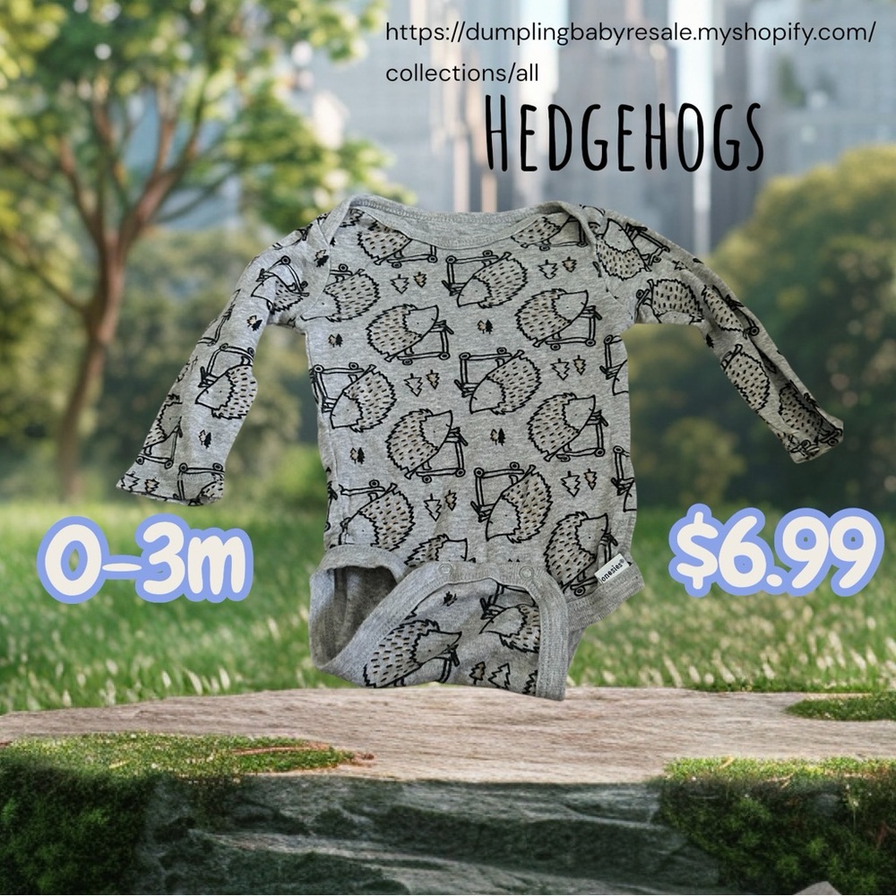 Gray Baby Bodysuit